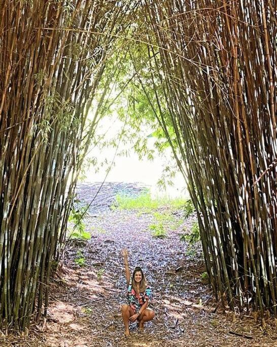 Recanto Dos Beija Flores, Chale Bougainville Monte Alegre do Sul Extérieur photo