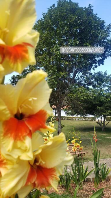 Recanto Dos Beija Flores, Chale Bougainville Monte Alegre do Sul Extérieur photo